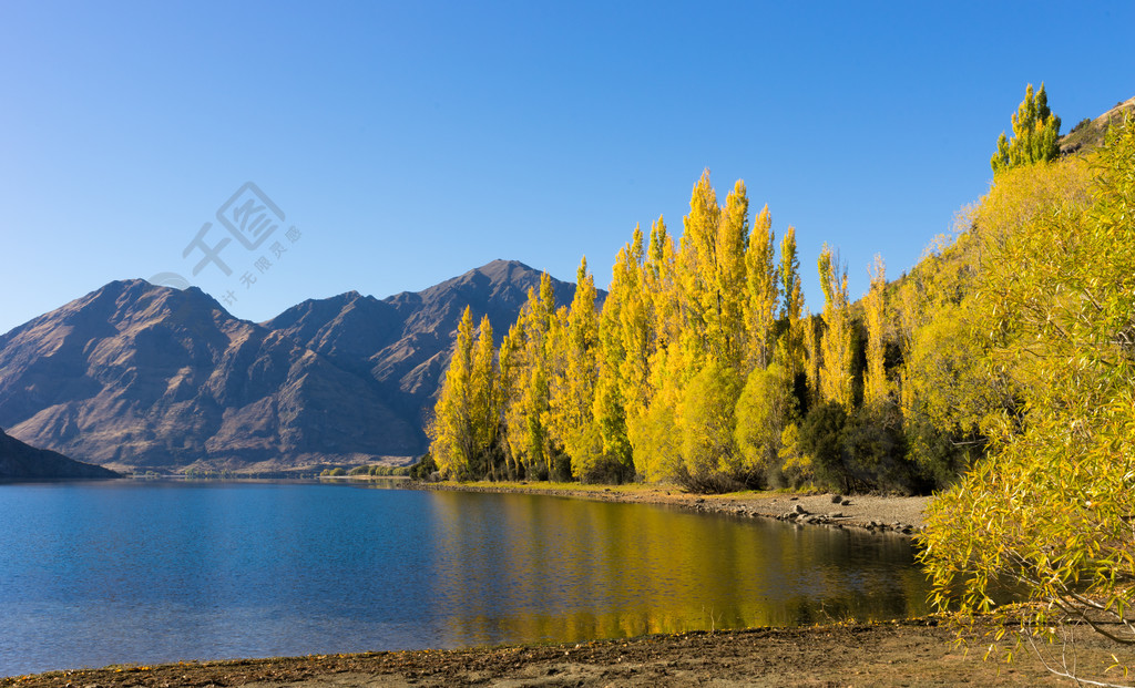 如詩如畫的風景新西蘭阿爾卑斯山和湖泊的自然景觀