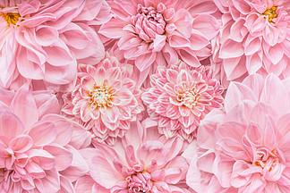 柔和的粉红色花朵背景，顶视图，<i>布</i>局或贺卡为母亲节，婚礼或幸福的事