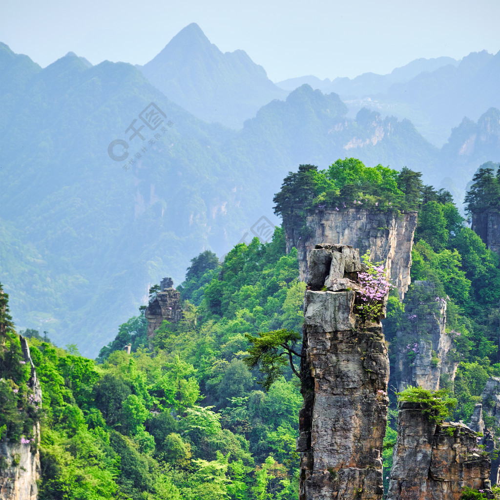 湖南,中國的峭壁山中國張家界山