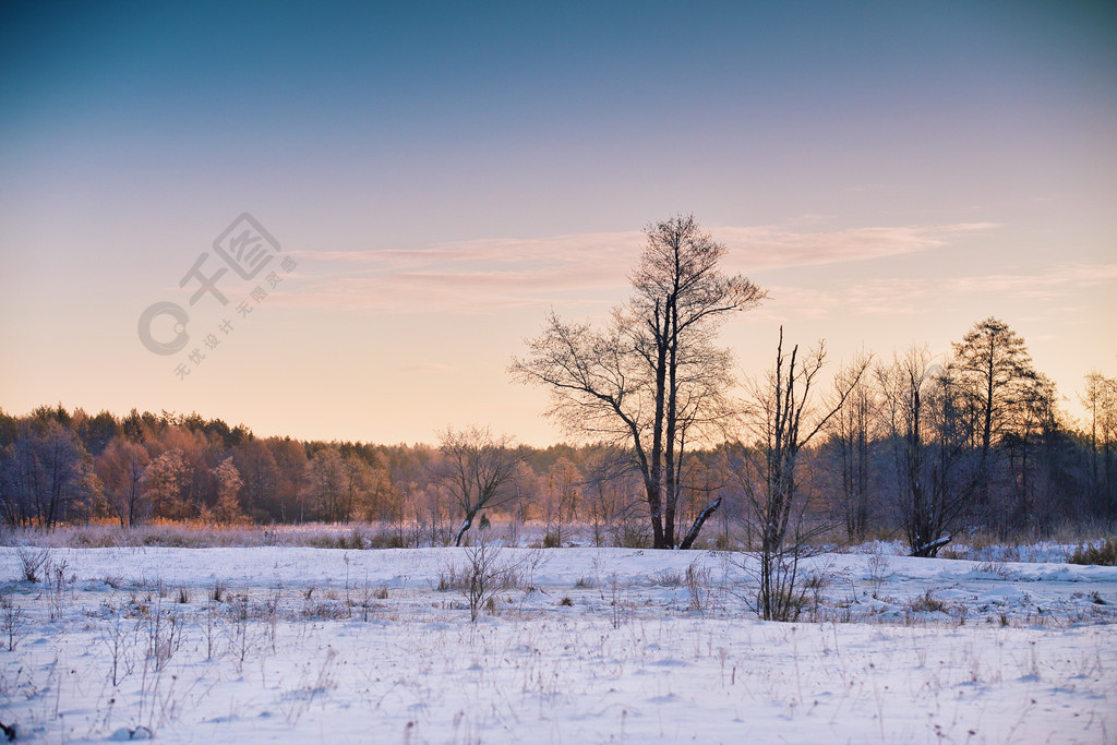 在白俄羅斯的冬天黎明日出在冬天早晨雪景風景名勝免費下載_jpg格式