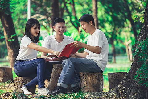 学生团队在大学或学校的公园里快乐学习,社区团队合作和青年友谊的