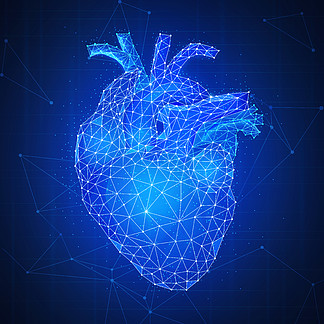 与主动脉的多角形解剖人的与心脏的3d和静脉在代表生命和医疗保健概念的对等区块链网络技术背景低聚设计方形的布局在蓝色背景的多角形人的＆s心脏 s心脏3d