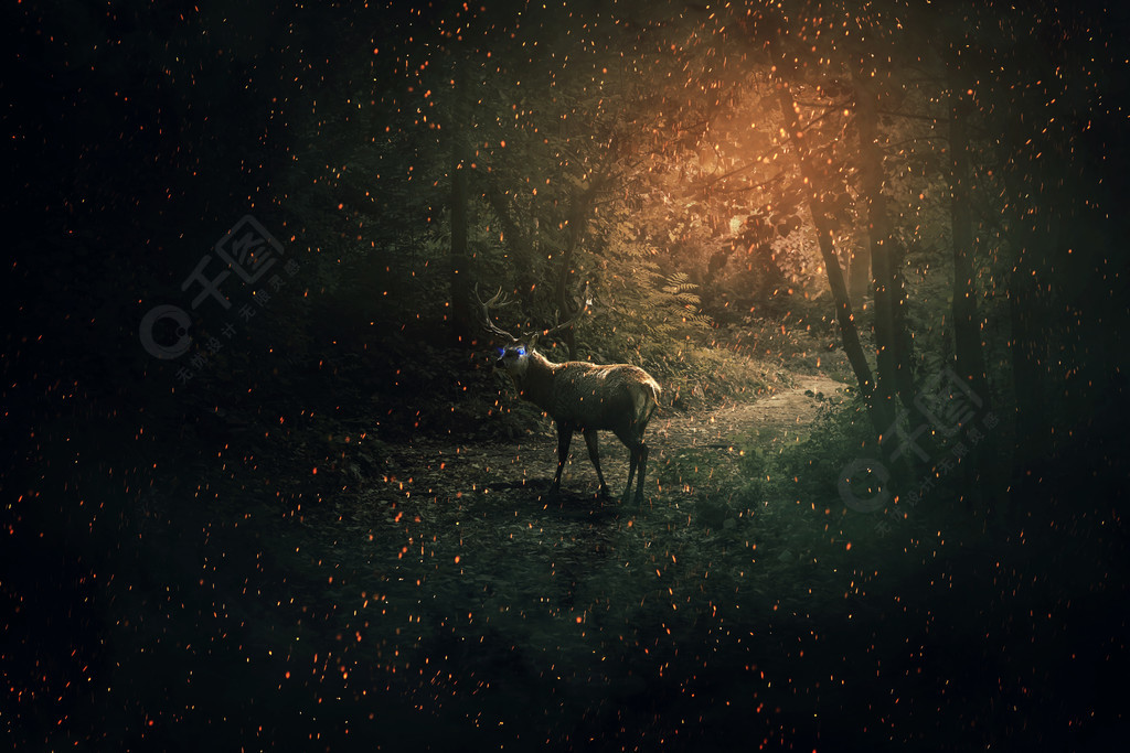 角用大量的萤火虫和火花守护着黑暗的森林神秘的野生场景屏幕保护程序