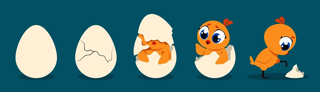 孵化鸡卡通小鸡生日逐步的过程,可爱的扁平家禽字符矢量图鸡蛋和小鸡