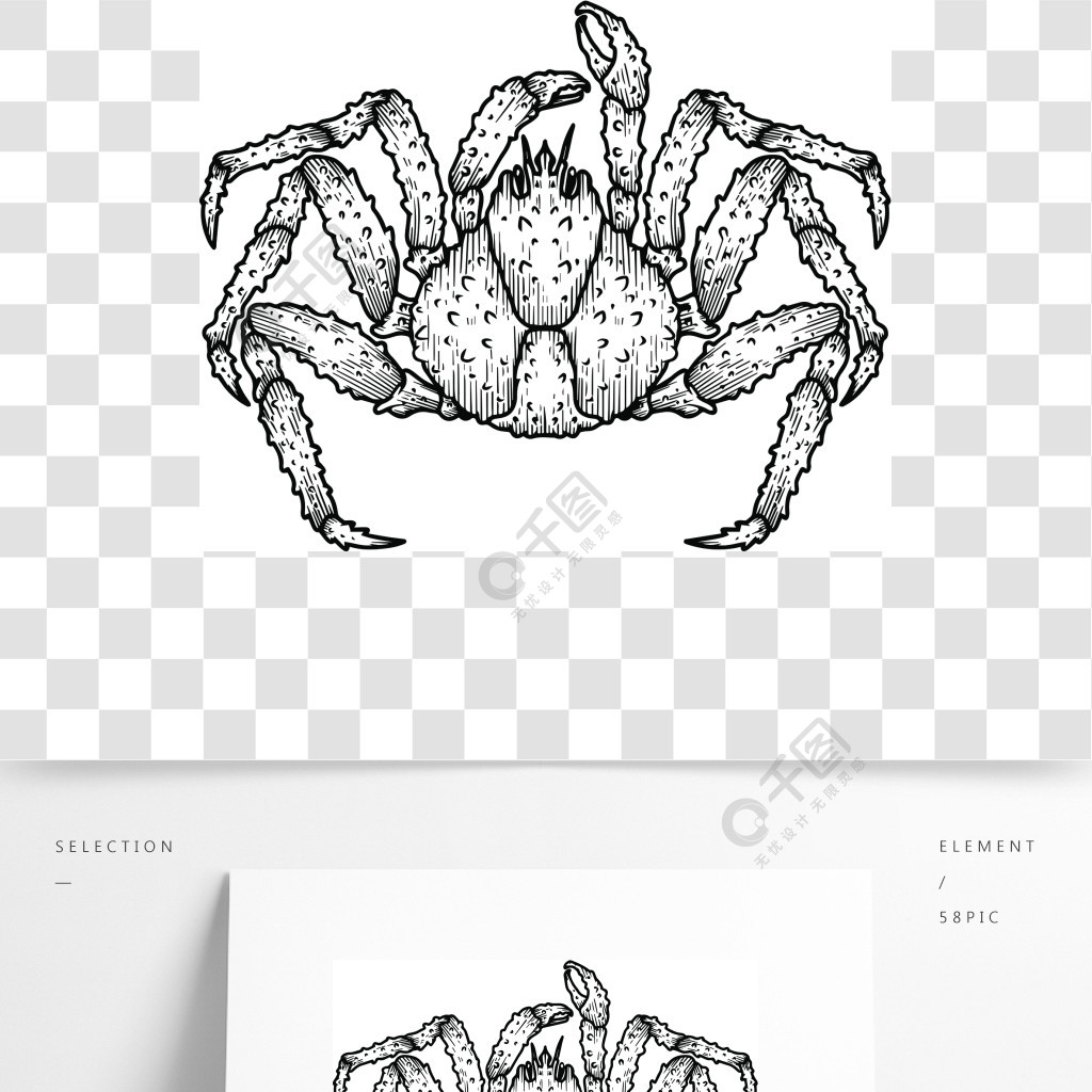 蟹蛛手绘图片