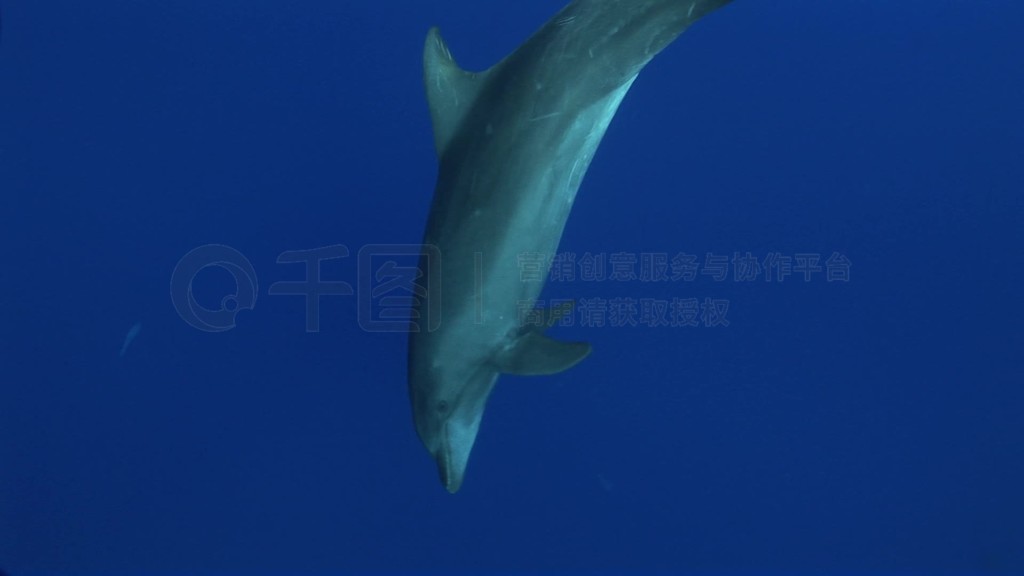 Ǻschwimmen im Meer