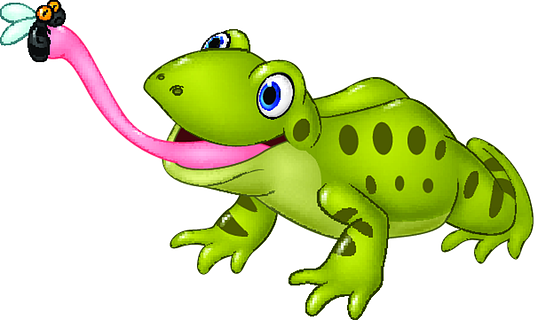 可爱的青蛙捉苍蝇在白色背景上孤立创意卡通手绘水彩虫子苍蝇元素矢量