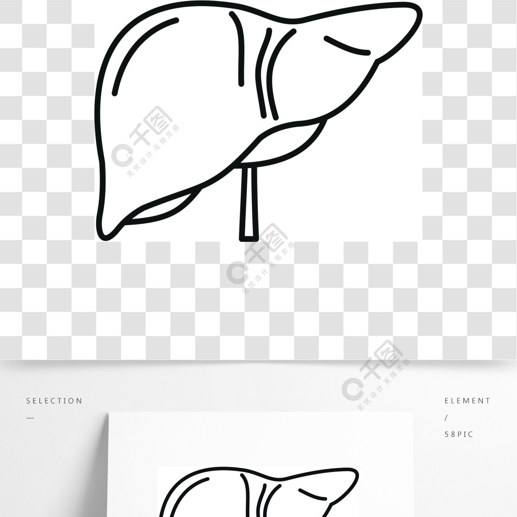 人类肝脏的图标概述在白色背景上网络设计的人肝矢量图标人肝图标