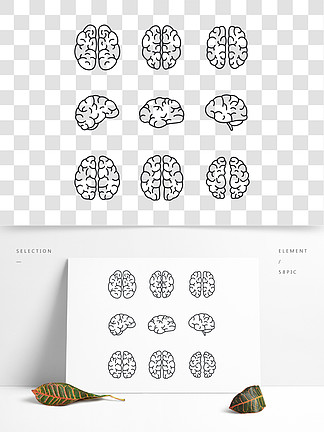 大脑心灵图标集概<i>述</i>在白色背景上孤立的网络设计的大脑思维矢量图标集大脑思维图标集，轮廓样式