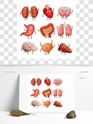 25922可愛回力卡通人體器官胃,肺和腎臟,腦和心臟,肝臟有趣的內臟矢量