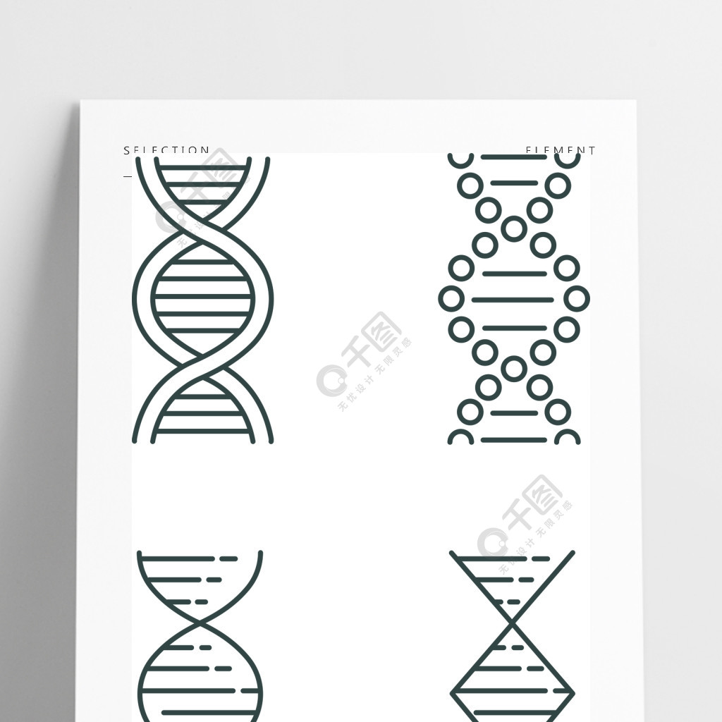 dna螺旋線線性圖標設置脫氧核糖核酸核酸螺旋分子生物學遺傳密碼遺傳