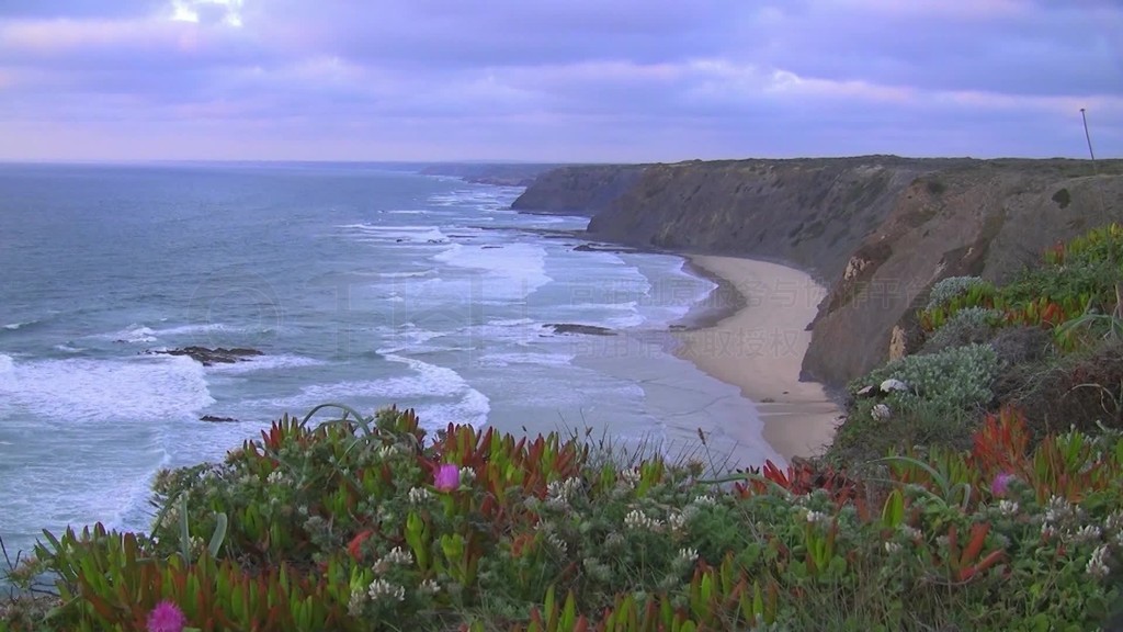 Blick auf weien Sandstrand am Meer vor Steilen Klippen?im Vordergrund eine bunte BlumenwieseΤײ÷˹