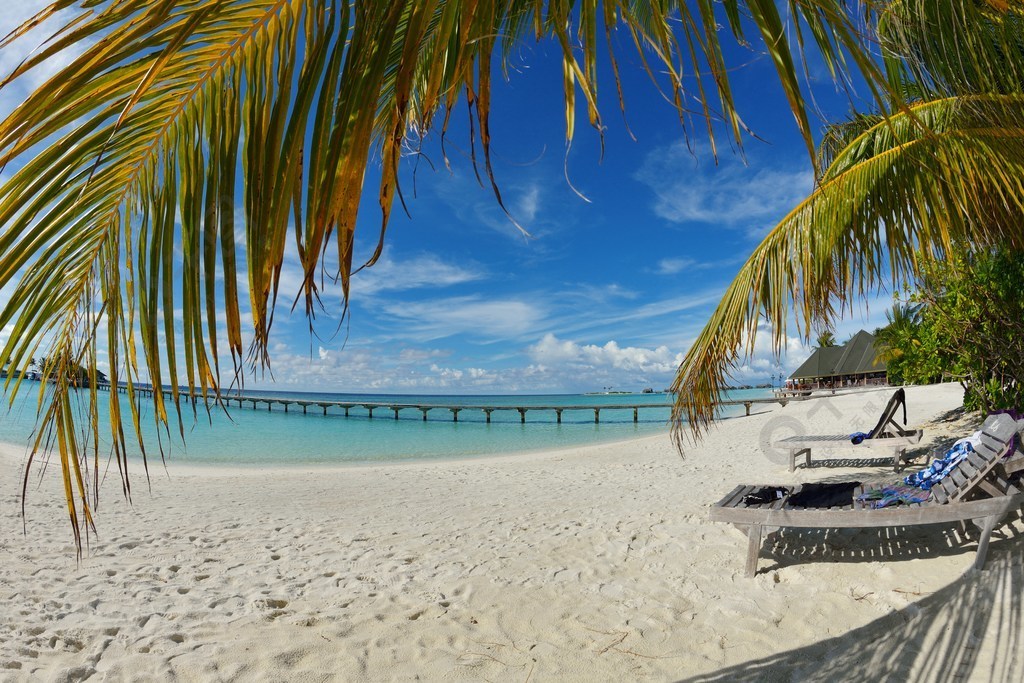 在夏天的白色沙灘熱帶海灘自然景觀