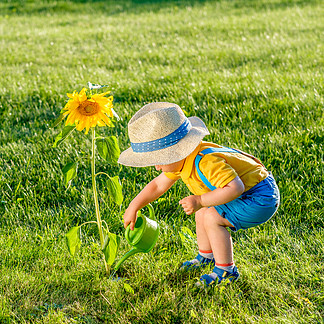 户外小<i>孩</i><i>孩</i><i>子</i>画象与一岁男婴戴着草帽使用向日葵的喷壶的农村场景