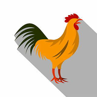 法国高卢鸡简笔画图片