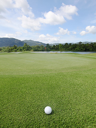 在草地上的高尔夫球在晴朗的一天的高尔夫球场的草地上的高尔夫球