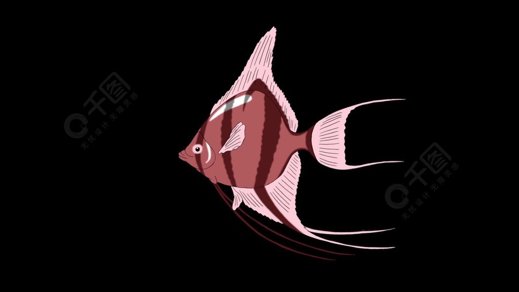 小粉红色鳞片神仙鱼在水族馆里游泳带有alpha通道的动画动画