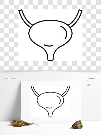 膀胱图标概述膀胱在白色背景上的网页设计矢量图标膀胱图标，轮廓样式