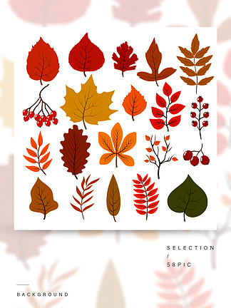 金色和红色的秋叶，早午餐和浆果秋天叶子传染媒介在白色背景隔绝的动画片收藏橙色槭树<i>本</i><i>质</i>，动画片叶子和红色浆果的例证金色和红色的秋叶，早午餐和浆果在白色背景上孤立的秋天叶矢量卡通集合