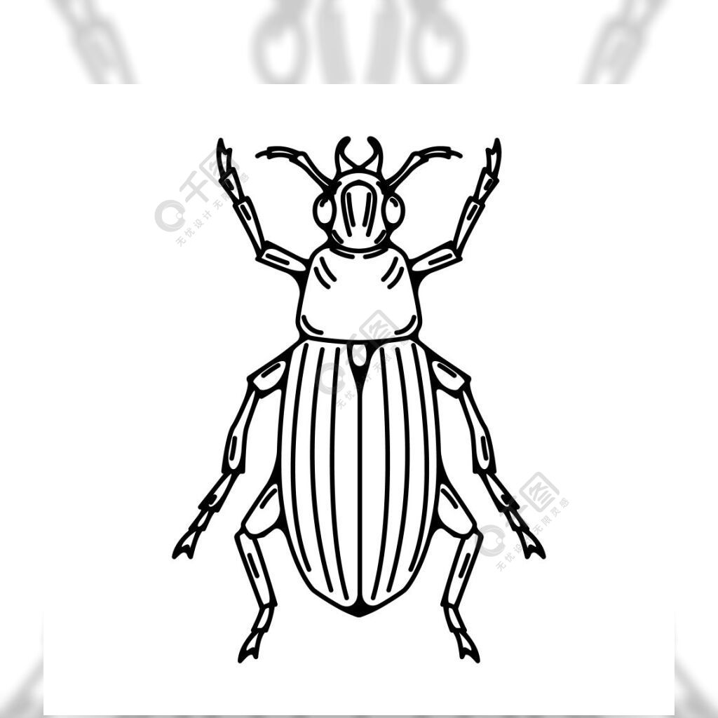 在白色背景隔绝的甲虫例证向量例证