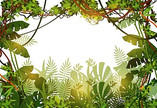 丛林热带背景热带树叶和藤本植物藤的雨林与热带树木的自然景观向量例证?藤本植物丛林绿色自然，热带景观森林丛林热带背景热带树叶和藤本植物藤的雨林与热带树木的自然景观向量例证