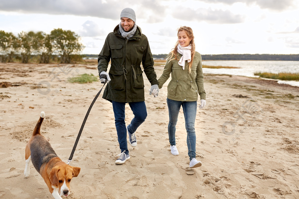 宠物家畜和人的概念幸福的夫妇和小猎犬狗一起沿着皮带沿着秋天的海滩