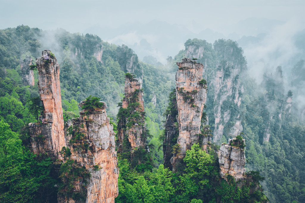 中国的著名旅游胜地张家界石在雾岭的柱子峭壁山在武陵源湖南中国中国