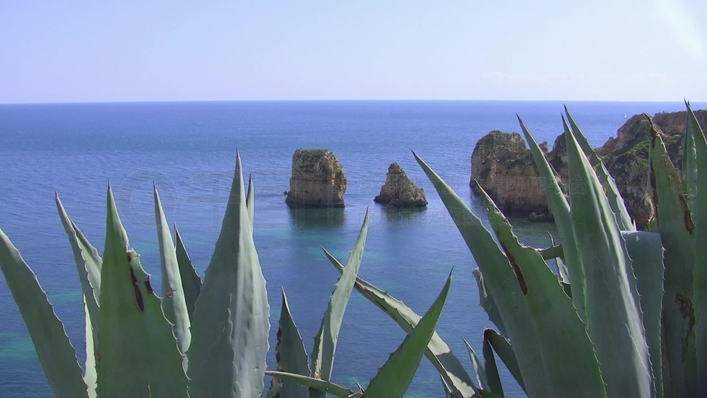 Blick zwischen Kakteenblattern auf den Ozean?Felsen ragen aus dem ruhigen blauen Wasser-˹ءά