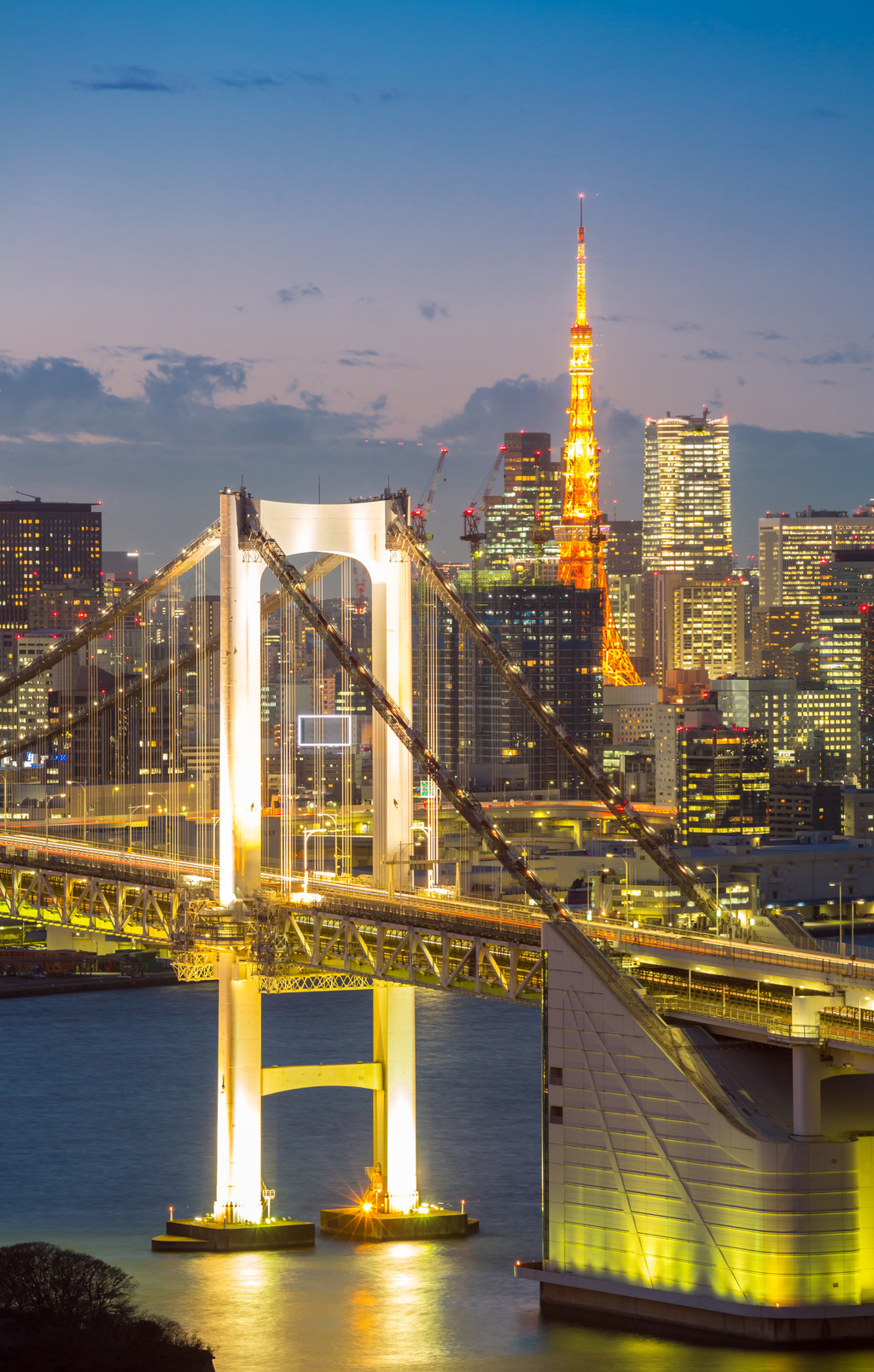 東京塔的天際線和彩虹橋與城市景觀在日本臺場1年前發佈