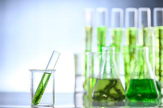 藻类海藻的科学实验，实验室研究