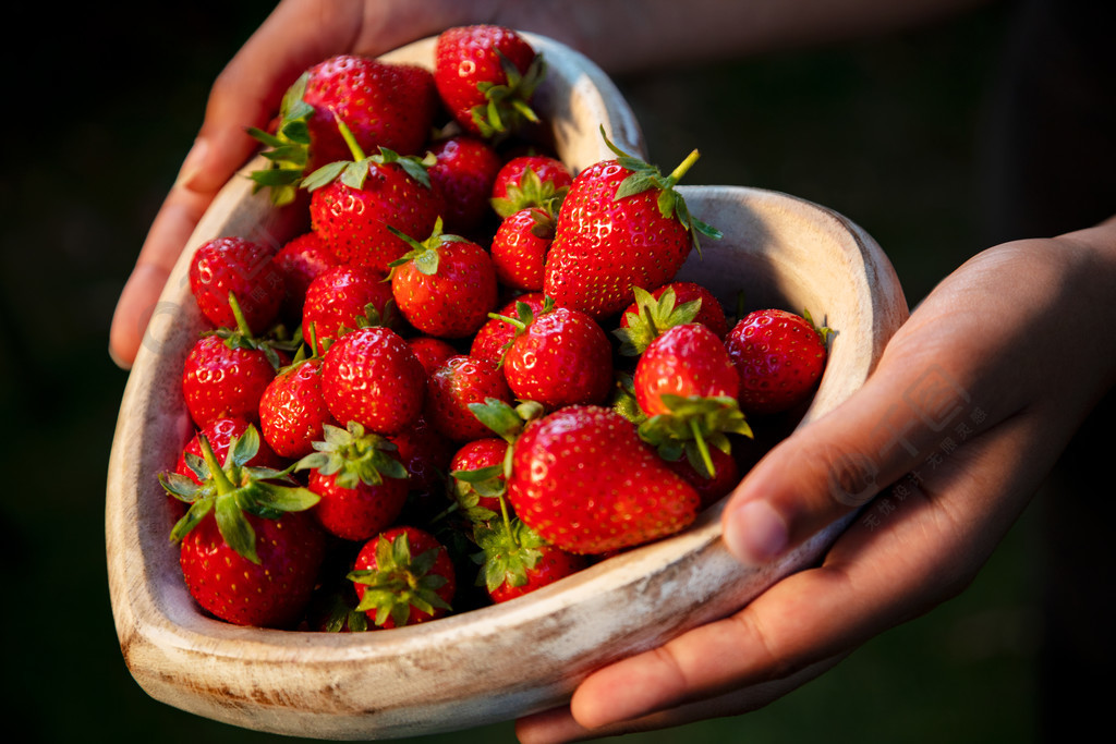 女孩或年轻女子手里拿着一个木心形碗新鲜采摘的红色草莓1年前发布