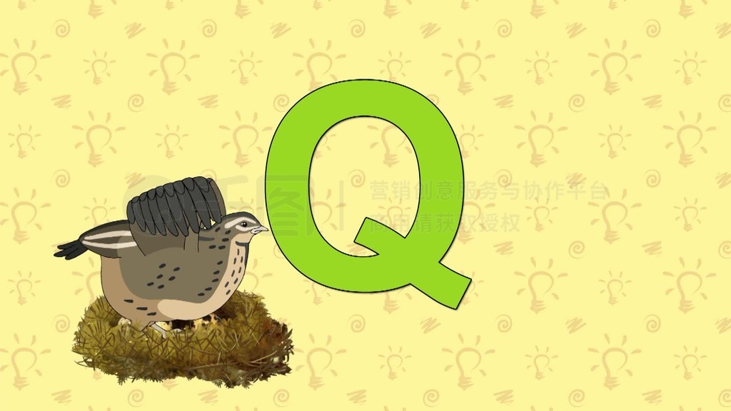 ӢĸĸI͵Quail