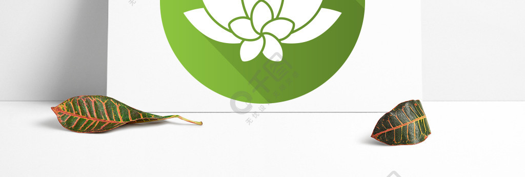 Spa沙龙花平面设计长长的阴影图标芳香疗法鸡蛋花和莲花矢量轮廓符号Spa沙龙花平面设计长长的阴影图标