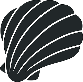 海贝壳标志符号图标海洋软体动物壳动物生存的保护层热带纪念品水族馆
