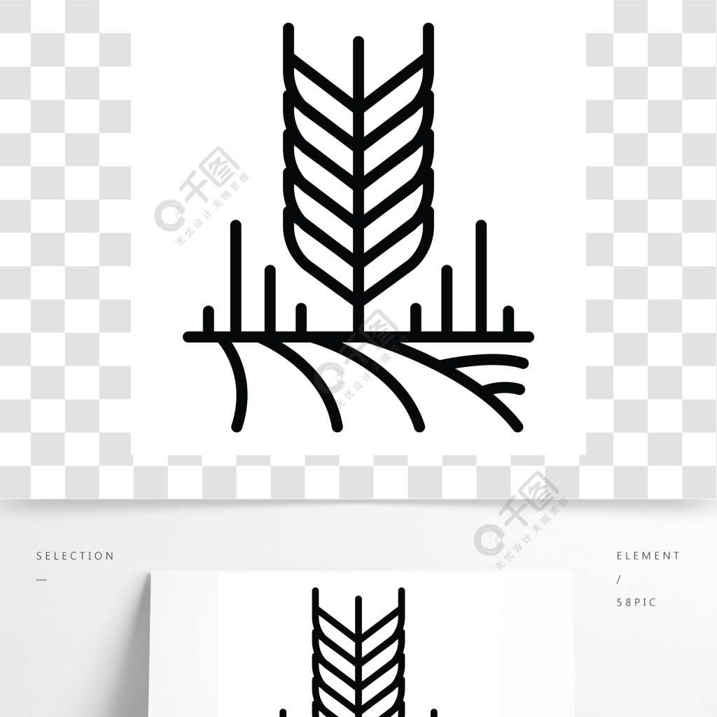 大麦种子简笔画图片