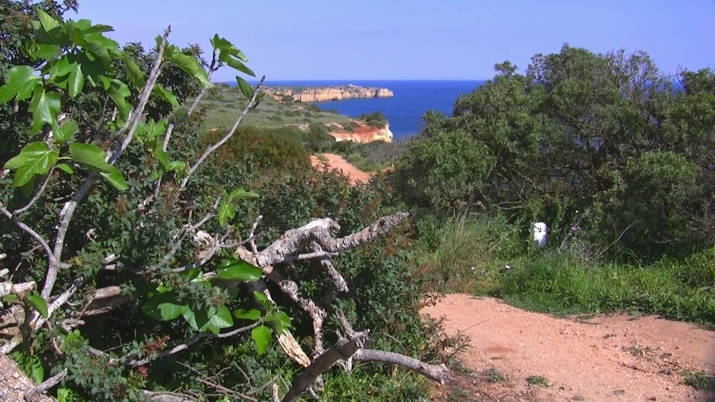 Blick auf das Meer von einem Aussichtspunkt mit grunen Buschen Baumen?˹أάAuslaufer aus Ste