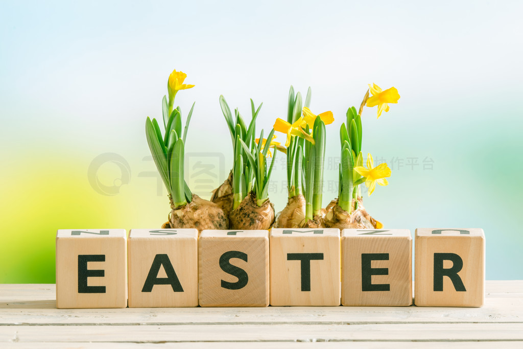 װľƴɵġEASTERʢˮɻ