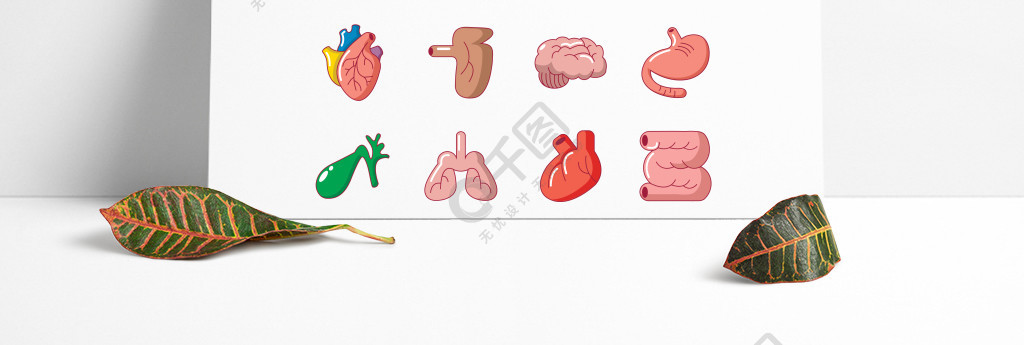 個內部人體器官的動畫片例證導航網的象內部人體器官圖標設置卡通風格