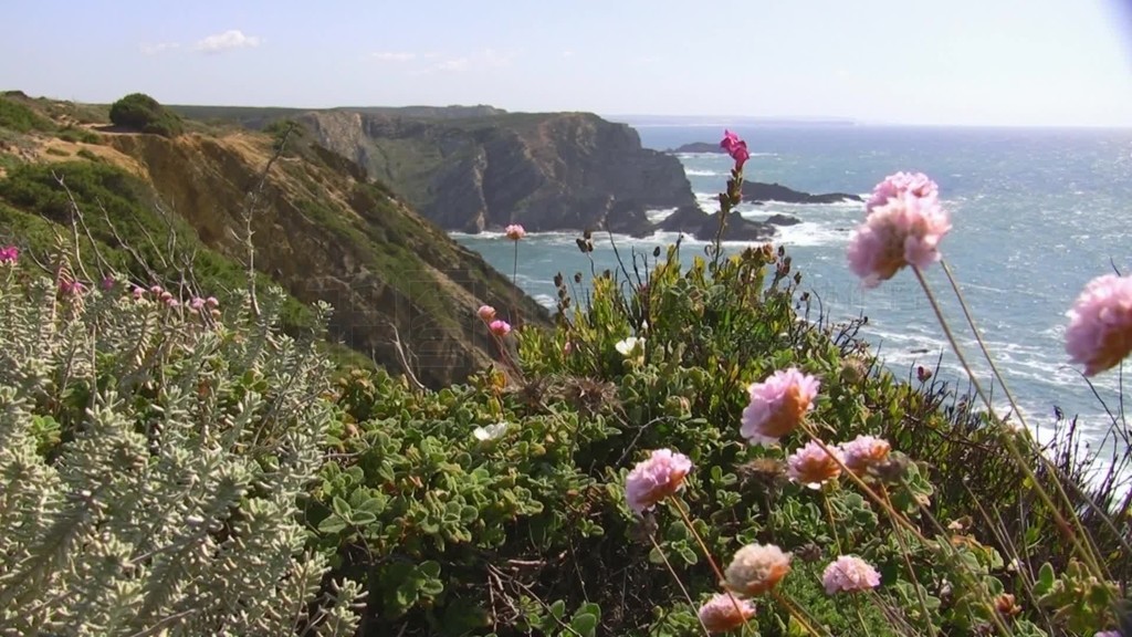 Blick auf den Ozean von einer bunten Blumenwiese?˹أKuste der AlgarveĻաKheppenѶɭ÷?lei