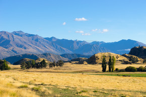 如诗如画的风景新西兰阿尔卑斯山和田野的自然景观