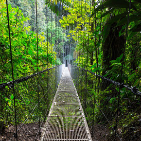 在中美洲哥斯达黎加的绿色热带丛林中徒步旅行