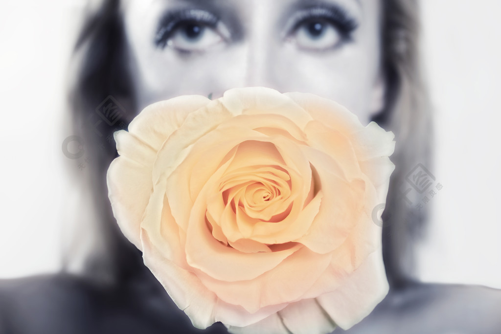 脸部玫瑰花素材图片
