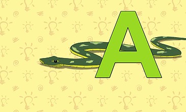 蛇的英文单词图片