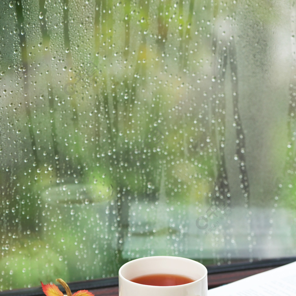 茶在南瓜附近和在一个雨天的书