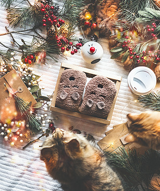 舒适的冬天和圣诞节的概念礼品盒的度假屋场景，上面有温暖的泰迪熊袜子，两只猫，冬季装饰品，蜡烛，松树枝和白色毯子上的仙女灯，顶视图