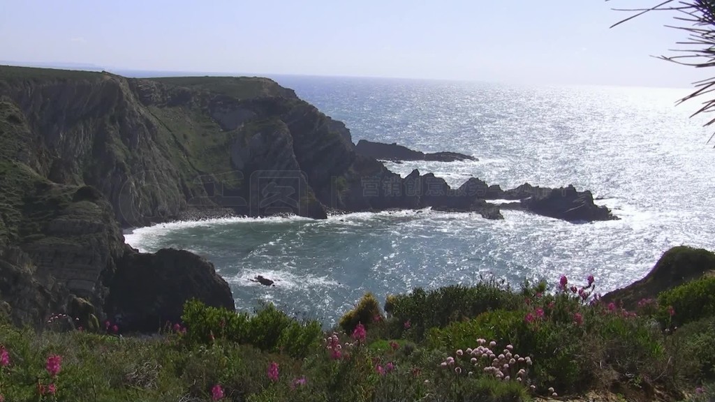 Blick auf den Ozean hohe Klippen eine Bucht von einer bunten Blumenwiese?ѶɭFelsen im Meer˹