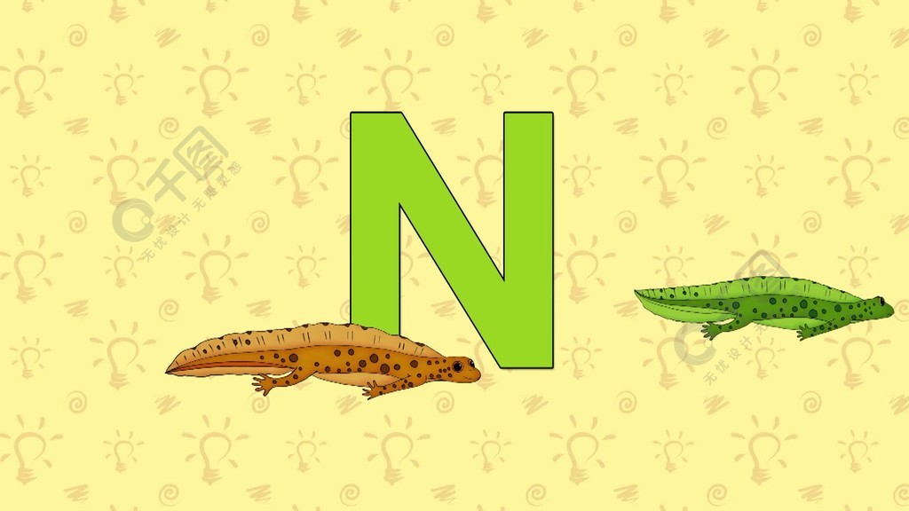 newt简笔画图片