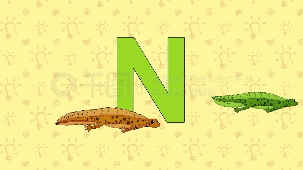 ӢĸĸN͵Newt