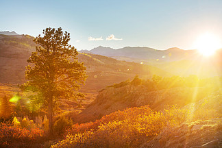 五颜六色的黄色秋天在科罗拉多，美国金秋时节