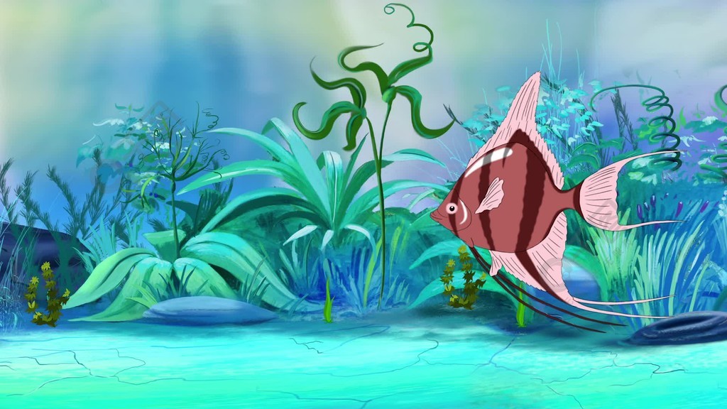 粉红鳞鱼神仙鱼在水族馆里游泳手工制作的动画,循环的运动图形